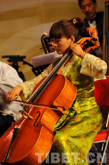 藏族女大提琴手